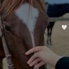 shaimaamohamed672