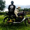 mendarat_ditempat