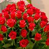 ahmadksabbagh