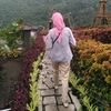 hai.hai012