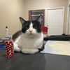 audrey_a_person