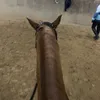 autumjlm