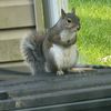 big_will5445