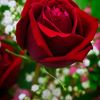 am....ahmet