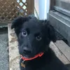 noisur__ludi