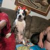 riddickmydog