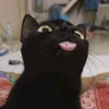 tutugiau_1125