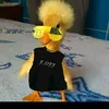 patodiferenciado1
