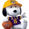 num1lsufan