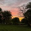 mxnuel_204