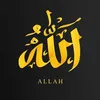 lan_144