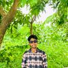 hasan345356