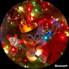joaco_481