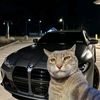 gtx_joss_m4