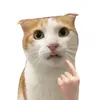 dundangdunde