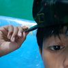 fbrian27_