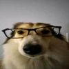 kevin_24_8