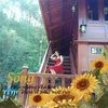 minhhoang81u4nc