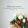 rebaa_d