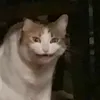 hiyokkkau