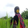 chitornih3