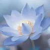hanguy26830311436