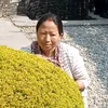 shreekalarana49