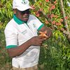 DIALLO BD Agro-service