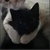 sxtpot.mws