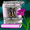 bu.eko86