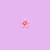 kendalll_4