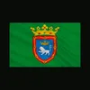pamplonica6