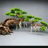 Bonsai hồng lĩnh