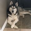jessdex02