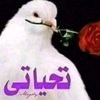 omda155690
