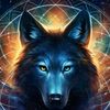 user8617540276084