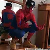 bostito398