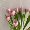 b_tulip