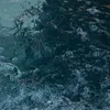 lanagkigd_2
