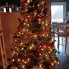 chrismasgirl12