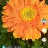 user9423956592981