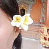 istriyitian
