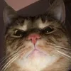 yourjon15