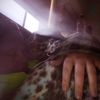 rebeccalinke5