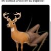 angelleonardo_81