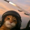 gatoinfectado2.0