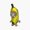 Banana Cat🥒🍅