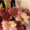 quinsalys