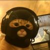 meowmolina