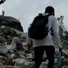 peyelroy_